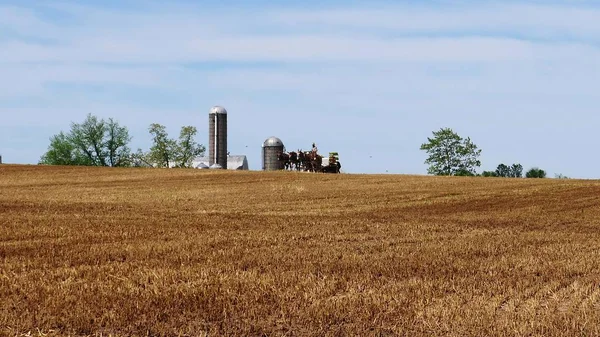 アーミッシュ農家は4頭の馬と近代的な機器で彼の作物を収穫 — ストック写真