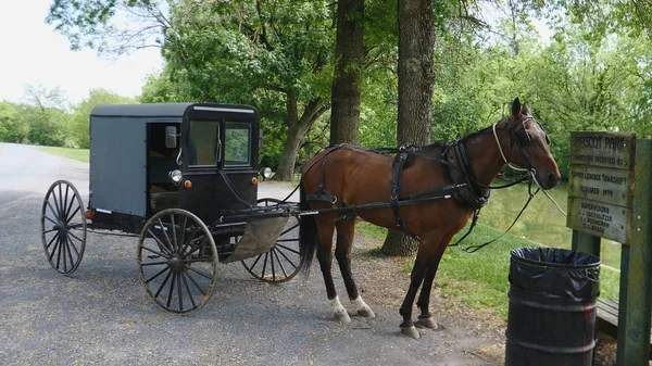 Amish at ve Buggy bekleyen bağlı