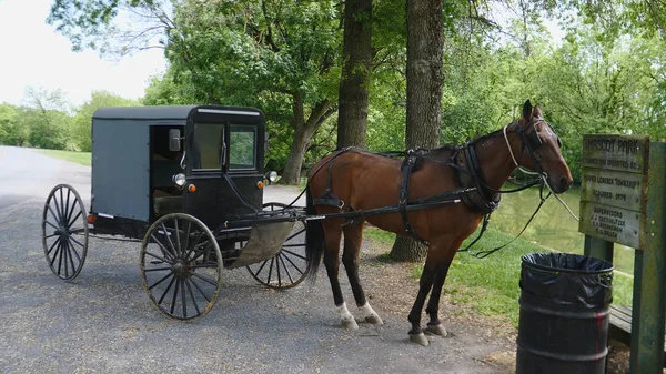 Amish cavallo e buggy legato fino in attesa — Foto Stock