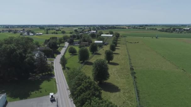 Letecký Pohled Amishský Kůň Buggy Jedoucí Cestě Venkově — Stock video