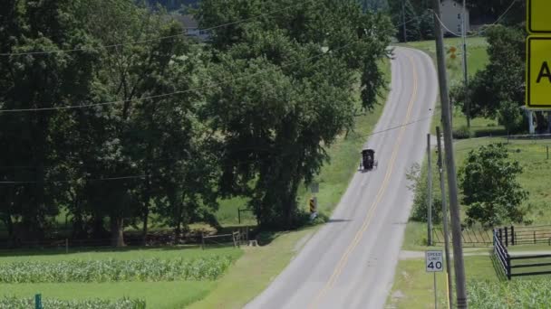 Amish Horse Buggy Riding Road Countryside Sunny Summer Day — Stock Video