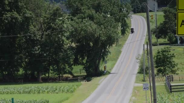 Amish Horse Dan Buggy Riding Sepanjang Jalan Countryside Pada Hari — Stok Video
