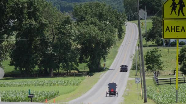 Amish Häst Och Buggy Rida Längs Vägen Landsbygden Solig Sommardag — Stockvideo