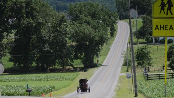 Cavallo Amish Buggy Equitazione Lungo Strada Sulla Campagna Una Giornata — Video Stock