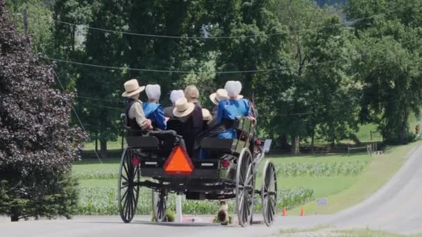Strasburg Pennsylvania June 2019 Amish Open Horse Buggy Family Riding — Stock Video