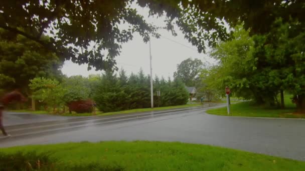 Amish Zamknięte Koń Buggy Trotting Wzdłuż Drogi Deszczu — Wideo stockowe