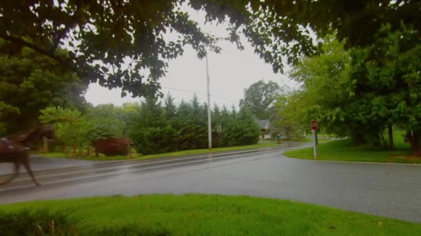 Amish Zamknięte Koń Buggy Trotting Wzdłuż Drogi Deszczu — Wideo stockowe