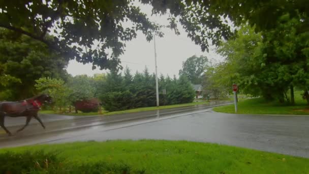 Ein Verschlossenes Pferd Und Ein Kinderwagen Traben Regen Über Eine — Stockvideo