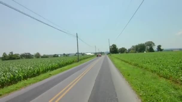 Los Niños Amish Caballo Abierto Buggy Trotando Por Camino Soleado — Vídeos de Stock