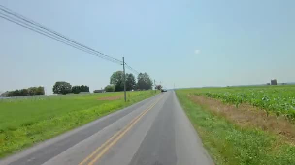 Duas Mulheres Amish Cavalo Aberto Buggy Trotting Road Dia Ensolarado — Vídeo de Stock