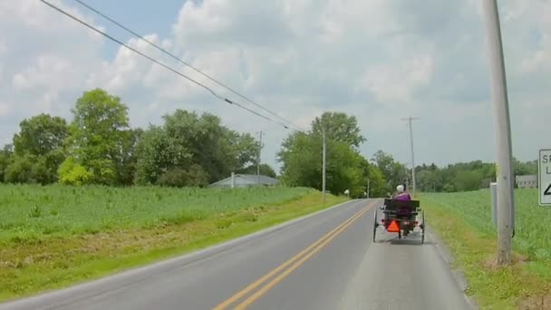 Amish Femme Dans Cheval Ouvert Buggy Rebondir Sur Route Par — Video