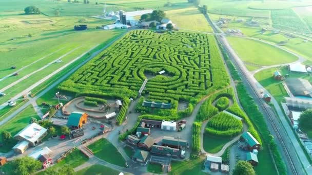 Légifotó Amish Vidék Kukorica Labirintus Késő Délután Egy Napsütéses Nyári — Stock videók