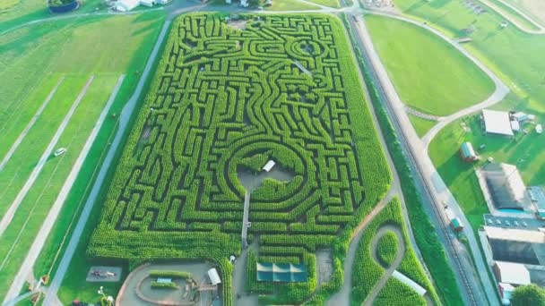 Légifotó Amish Vidék Kukorica Labirintus Késő Délután Egy Lefelé Látószögű — Stock videók
