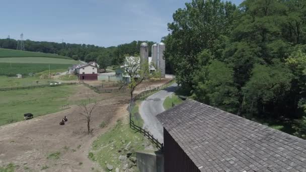 在阳光明媚的夏日 阿米什乡村一座有盖桥梁的鸟瞰图 — 图库视频影像