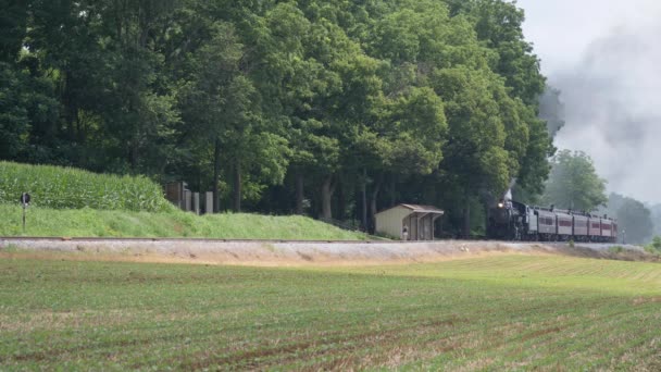 Treno Vapore Che Gonfia Lungo Campagna Amish — Video Stock