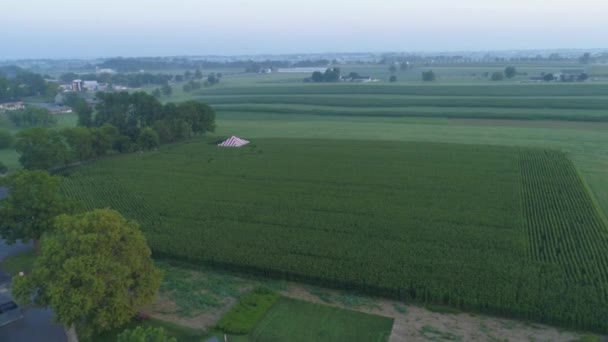 Sunrise Corn Field Tent Middle Misty Morning — Stock Video