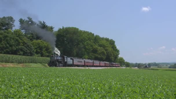 ロンクス ペンシルベニア州 2019年7月 夏の日にアーミッシュの田園地帯を走行する旅客列車のパフ煙を持つ1924年蒸気機関 — ストック動画