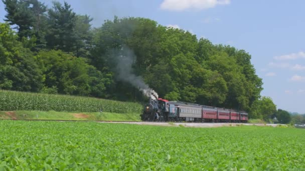 ロンクス ペンシルベニア州 2019年7月 晴れた夏の日にアーミッシュの田園地帯に沿って黒い煙を吹き飛ばして駅に引っ張る旅客列車と1910蒸気機関 — ストック動画