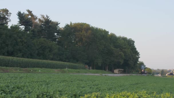 1924 Steam Engine Passenger Train Puffing Smoke Traveling Amish Countryside — Stock Video