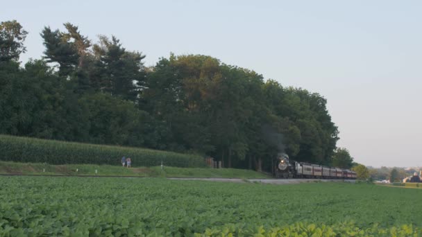 stock video A 1924 Steam Engine with Passenger Train Puffing Smoke Traveling Along the Amish Countryside on a  Summer Day