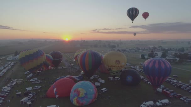 Vista Aérea Amanecer Globos Aire Caliente Despegando Festival Globos Una — Vídeos de Stock