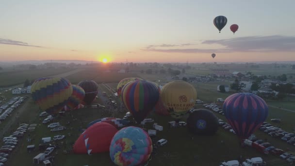 Légifelvétel Sunrise Hőlégballonok Felszállás Egy Ballon Fesztivál Egy Tiszta Nyári — Stock videók