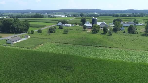 Aerial View Amish Farmland Amish One Room School House Sunny — Stock Video