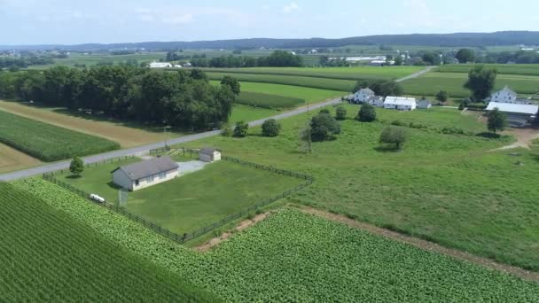 Vista Aérea Una Granja Amish Con Una Casa Escuela Una — Vídeos de Stock