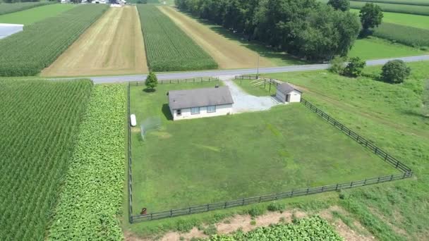 晴れた夏の日にアーミッシュワンルームスクールハウスを持つアーミッシュ農地の航空写真 — ストック動画