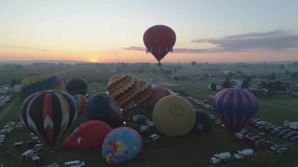 Εναέρια Θέα Ενός Ηλιοβασιλέων Καυτά Αερόστατα Απογειώστε Ένα Φεστιβάλ Μπαλόνι — Αρχείο Βίντεο