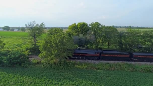 Strasburg Pennsylvania August 2019 Повітряний Вид Паровозу Train 611 Puffing — стокове відео