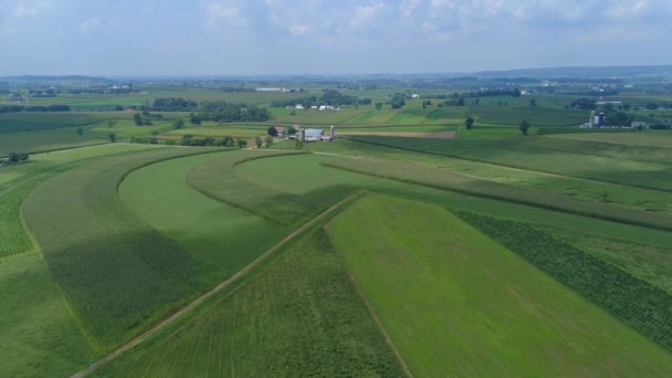 Aerial View Amish Farmlands Countryside Green Fields Sunny Summer Day — Stock Video