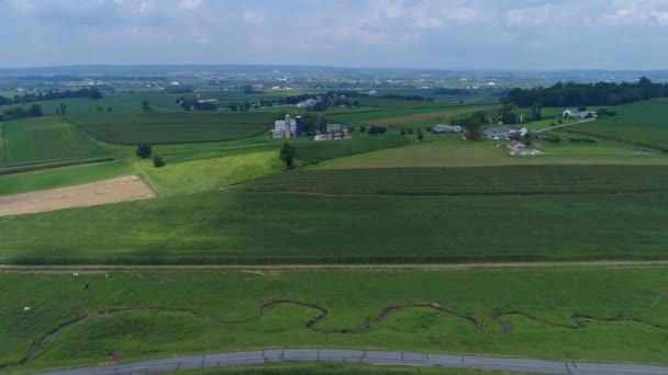 Letecký Pohled Amish Farmlands Krajinu Zelenými Poli Slunečného Letního Dne — Stock video
