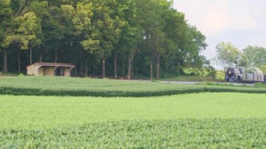 Strasburg, Pennsylvania Ağustos 2019 - 611 no 'lu Buharlı Trenin Hava Görüntüsü Çiftlik Kırsalında Tüttüren Duman Yeşil Tarlalar ile Güneşli Bir Yaz Günü