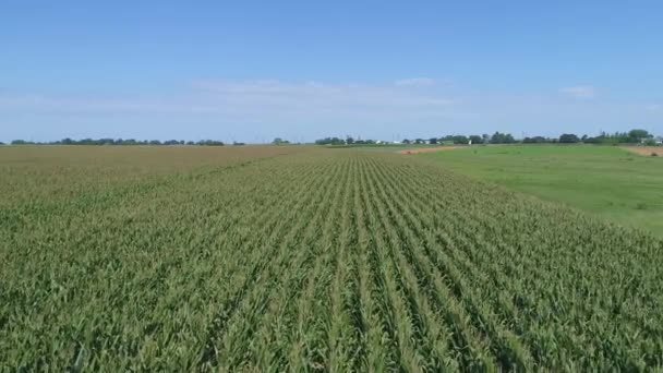 Una Vista Aérea Cerca Las Tierras Cultivo Amish Campo Con — Vídeo de stock