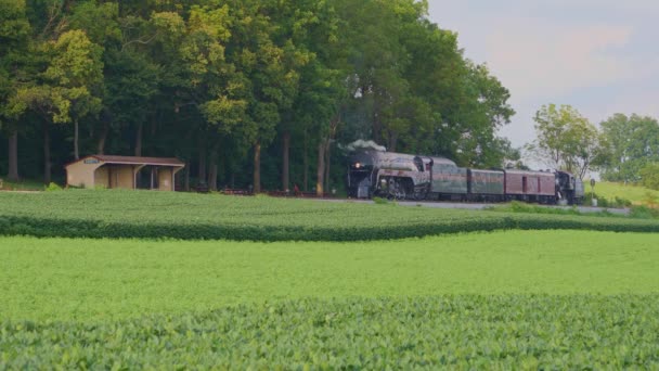 Strasburg Pennsylvania Agosto 2019 Una Vista Aérea Tren Vapor 611 — Vídeos de Stock