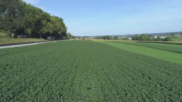 Air View Close Green Agricultural Farm Lands Next Rail Road — Stock video