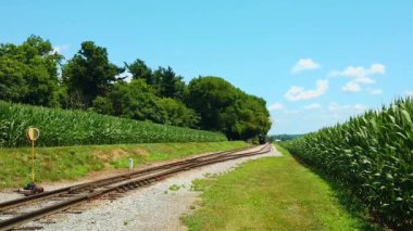Güzel güneşli bir gün. Mısır Tarlaları Mavi Gökyüzü ve Az Bulut ve Antika Buhar Lokomotifi Yaklaşmakta.
