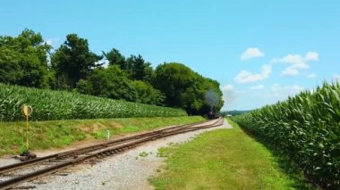Güzel güneşli bir gün. Mısır Tarlaları Mavi Gökyüzü ve Az Bulut ve Antika Buhar Lokomotifi Yaklaşmakta.