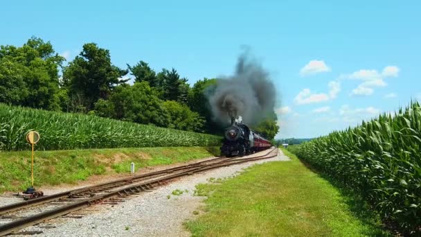 Mooie Zonnige Dag Met Maïsvelden Blue Sky Weinig Wolken Een — Stockvideo