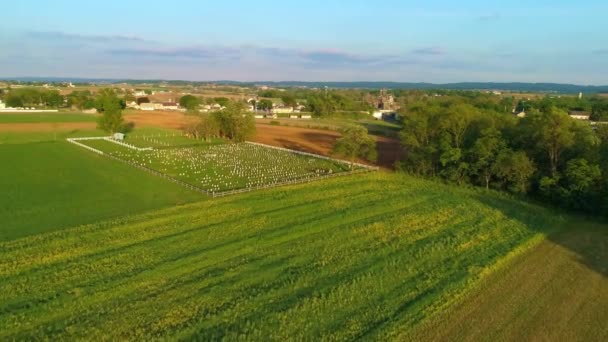 Légi Kilátás Mezőgazdasági Területek Egy Amish Temető Egy Gyönyörű Napsütéses — Stock videók