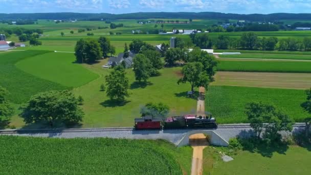 緑の農地を横断するアンティーク蒸気機関とカボス蒸気機関とパフィングの空中ビュー — ストック動画