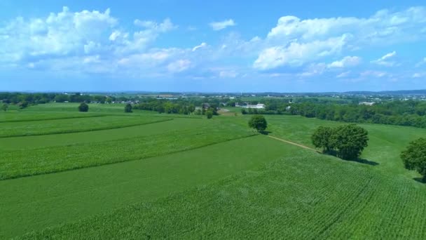Aerial View Antique Steam Engine Caboose Steaming Puffing Green Farmlands — Stock Video