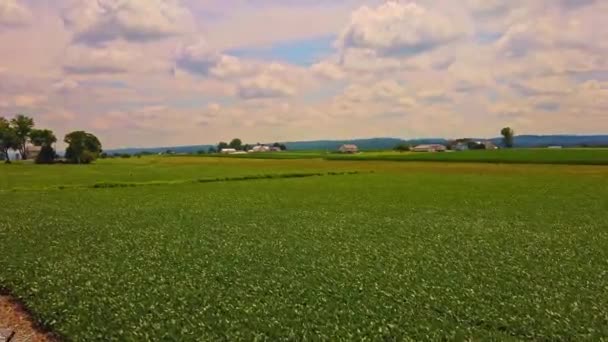 夏の日に農場の田園風景を見に旅行中 — ストック動画