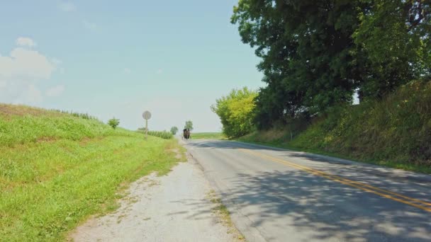Caballo Amish Buggy Viajando Largo Una Carretera Rural Día Verano — Vídeo de stock