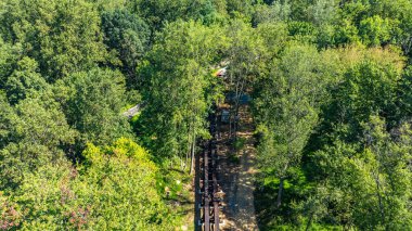 Sakin bir orman, açık gökyüzünün altında yüksek ağaçlar ve canlı yeşilliklerle kaplı dolambaçlı bir yol sergiliyor. Ziyaretçiler bu huzurlu ortamda yürürken doğal güzelliğin tadını çıkarıyorlar..