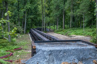 İnşaat işçileri sık bir ormanda demiryolu döşüyorlar. Yeşil ağaçlar ve yapraklarla çevrelenen alan, çakıl ve metal kirişlerle ilerlemeyi gösteriyor..