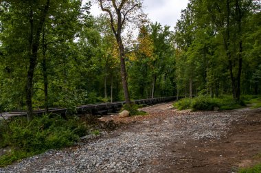 Sakin bir ormanlık alan yemyeşil alanda kıvrılan kırsal bir tren yolu gösteriyor. Sonbahar yaprakları değişmeye başlıyor, mevsimsel değişime işaret ediyor. Sessiz ortam keşfi davet eder.