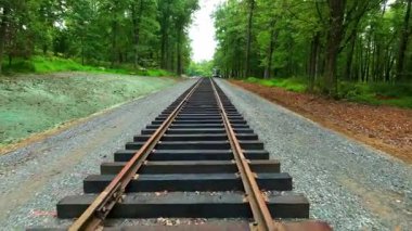 Workers lay wooden cross ties and rails for a railway line in a tranquil forest. The sound of nature accompanies the progress of railway construction in the sunny afternoon light.