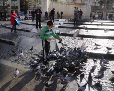 Amsterdam, Hollanda - 27 Ekim 2017: Çocuk Amsterdam, Hollanda üzerinde 27 Ekim 2017 Damplein meydanında güvercinler beslemeleri